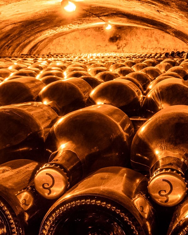 Champagne 600×750