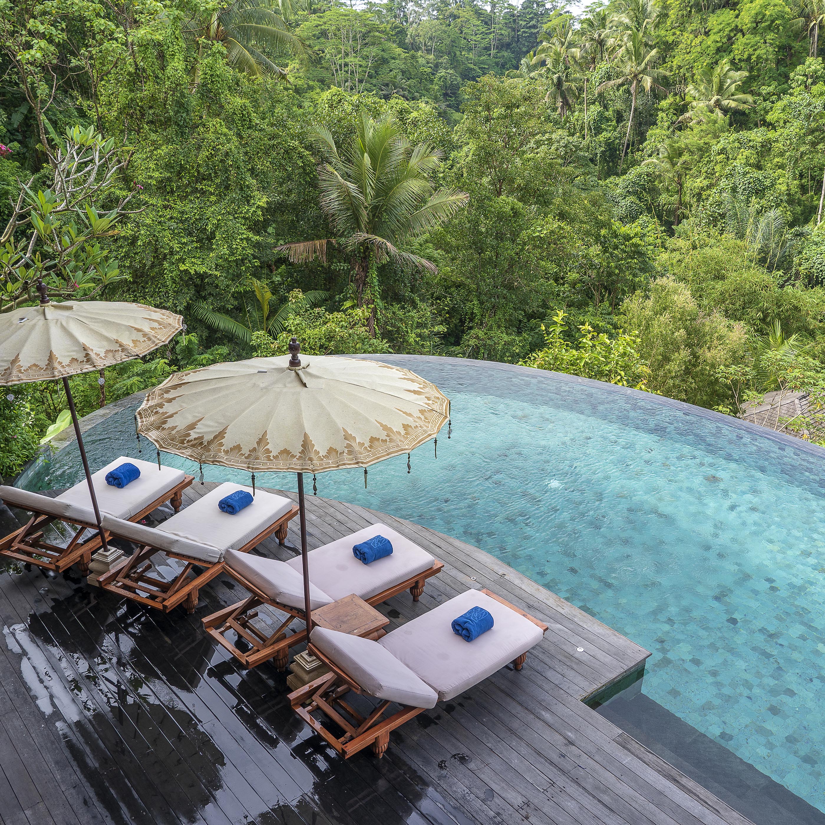 View of the swimming pool water and sunbeds in the tropical jungle near Ubud, Bali, Indonesia , top view